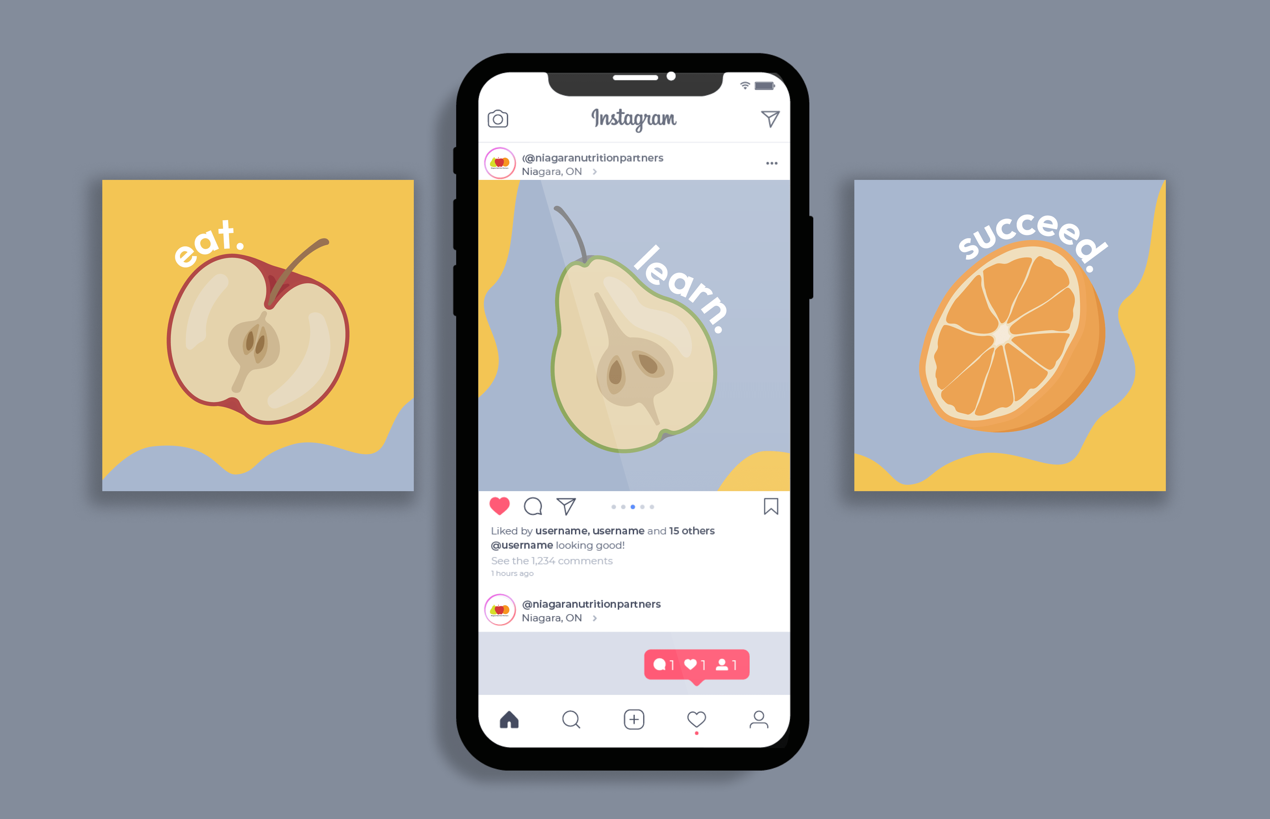 NNP social media